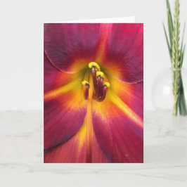 リリー、カード カード