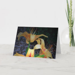 リリー、カード カード