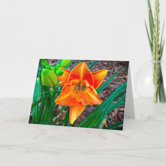 リリー、カード カード (正面)