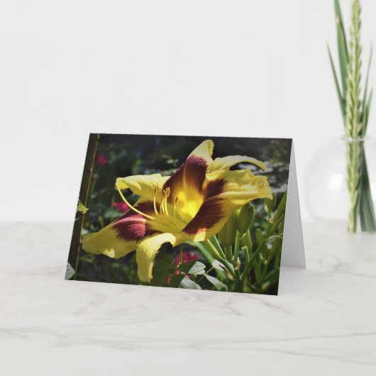 リリー、カード カード (正面)