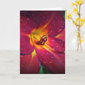 リリー、カード カード (黄色い花)