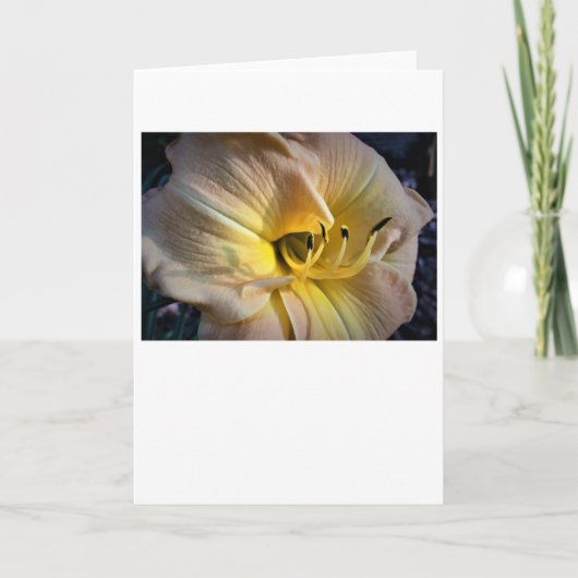 リリー、カード カード (正面)