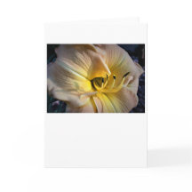 リリー、カード