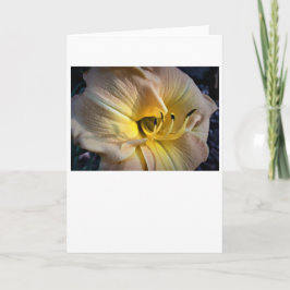 リリー、カード カード