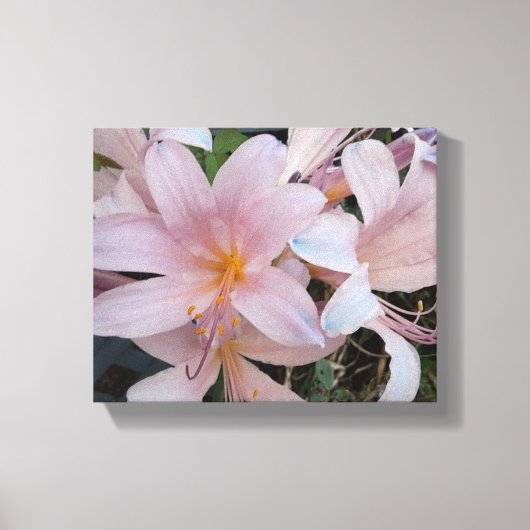 リリー キャンバスプリント (正面)