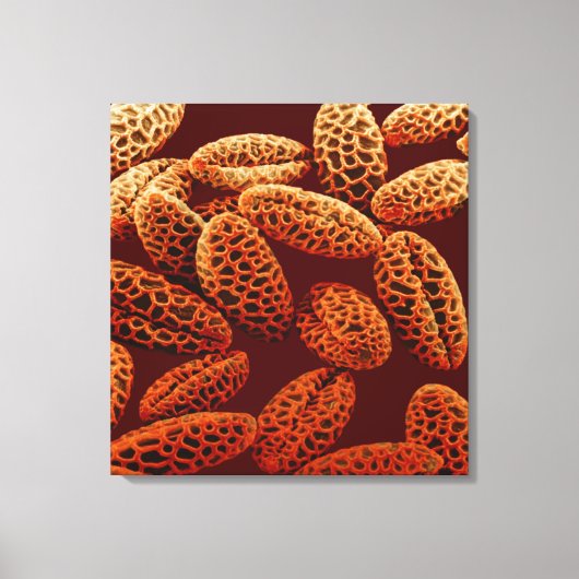 リリー キャンバスプリント (正面)