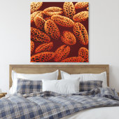 リリー キャンバスプリント (インサイチュ (寝室))