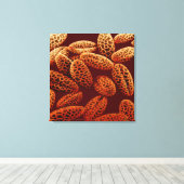 リリー キャンバスプリント (インサイチュ (ウッドフロア))