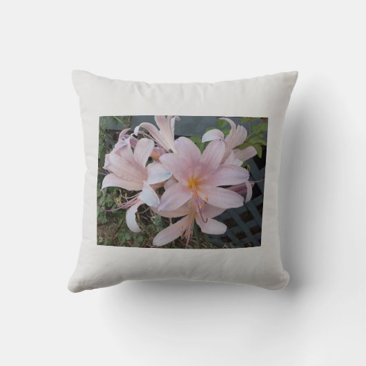 リリー クッション (裏面)