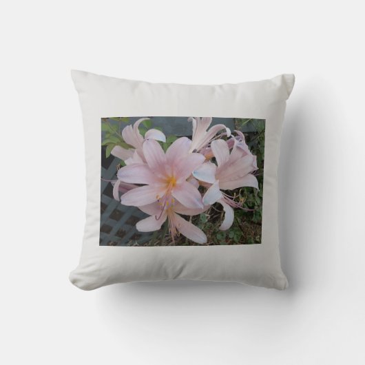 リリー クッション (正面)