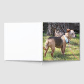 リリー ゲストブック (全面)