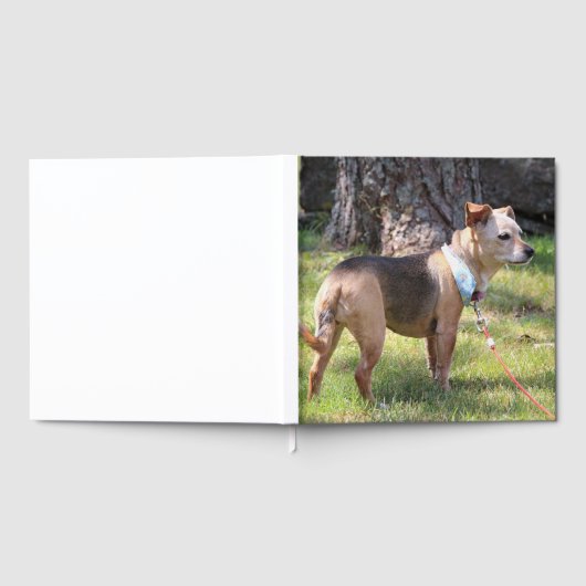 リリー ゲストブック (全面)