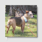 リリー ゲストブック (正面)