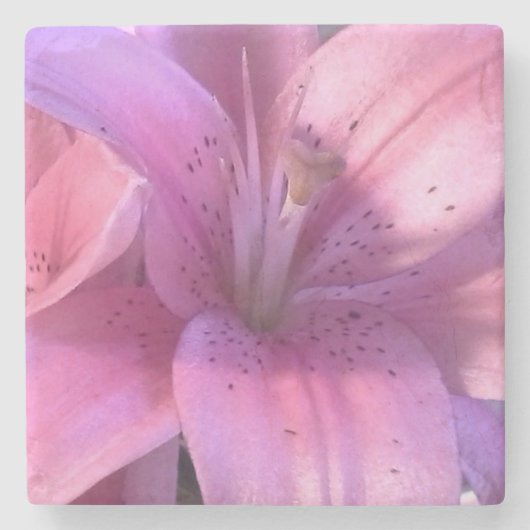 リリー・コースターズ ストーンコースター (正面)