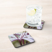 リリー コースター (右側)