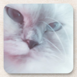 リリー コースター