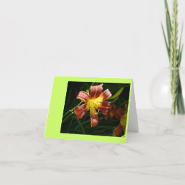 リリー サンキューカード