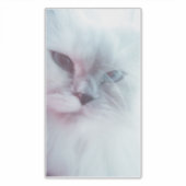 リリー シール (正面)