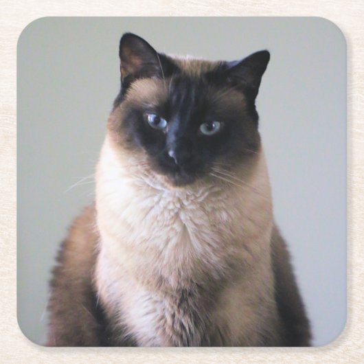 リリー スクエアペーパーコースター (正面)