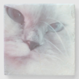 リリー ストーンコースター