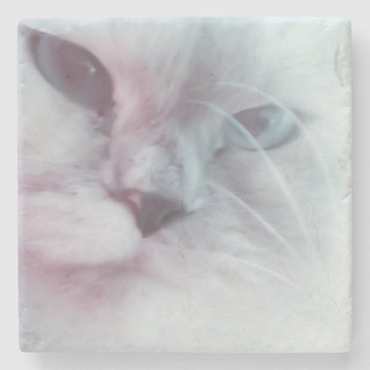 リリー ストーンコースター (正面)