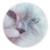 リリー セラミックノブ (正面)