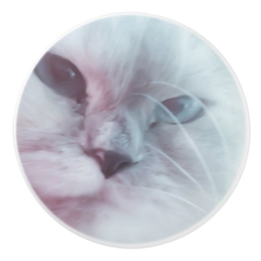 リリー セラミックノブ (正面)