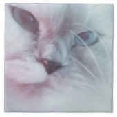 リリー タイル (正面)