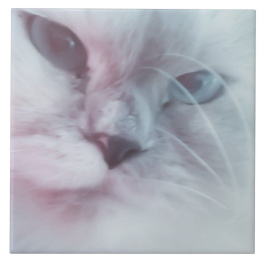 リリー タイル (正面)