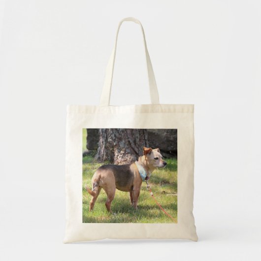 リリー トートバッグ (正面)