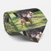 リリー ネクタイ (ロール)