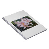 リリー ノートブック (右側)