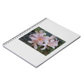 リリー ノートブック (左側)