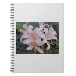 リリー ノートブック