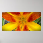 リリー&バグ ポスター (正面)