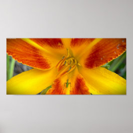 リリー&バグ ポスター