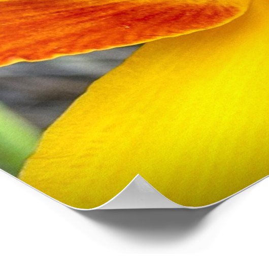 リリー&バグ ポスター (角)