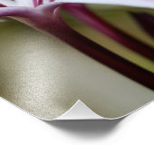 リリー フォトプリント            (角)