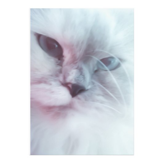 リリー フォトプリント            (正面)