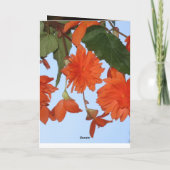 リリー ホワイト フラワーズ ピース オフィス ラブ デスティニー カード (裏面)