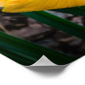 リリー、 ポスター (角)