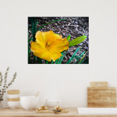 リリー、 ポスター (キッチン)