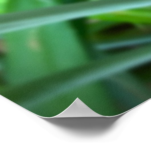 リリー、 ポスター (角)