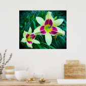 リリー、 ポスター (キッチン)