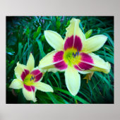 リリー、 ポスター (正面)