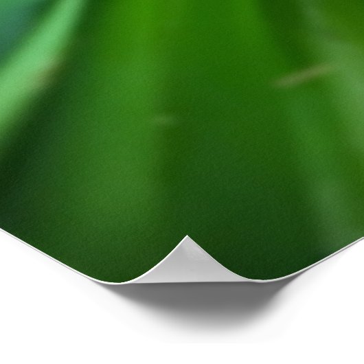 リリー、 ポスター (角)