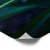 リリー、 ポスター (角)