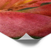 リリー ポスター (角)