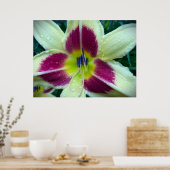 リリー、 ポスター (キッチン)