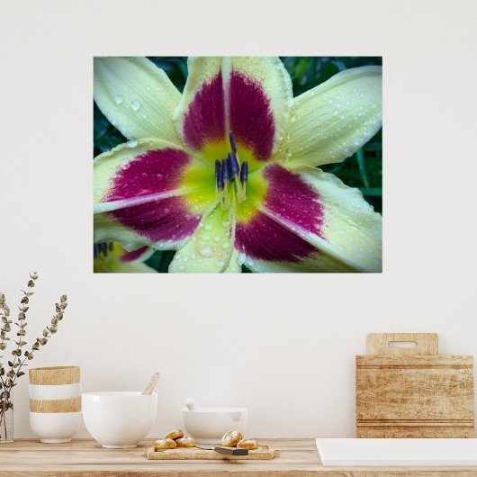 リリー、 ポスター (キッチン)